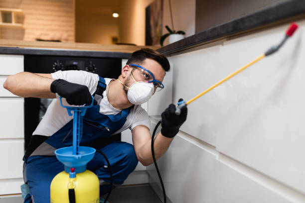 Best Ant Control Services  in Concordia, KS