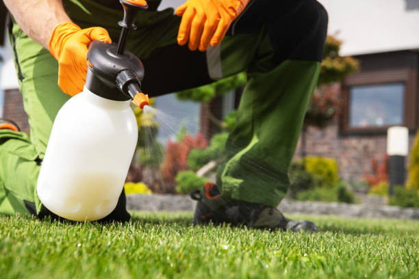 Best Affordable Pest Control Services  in Concordia, KS