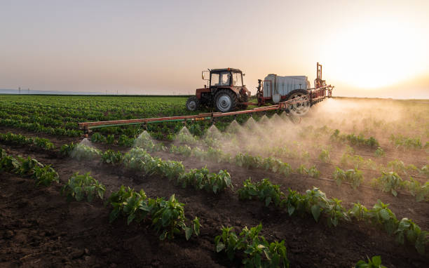 Best Residential Pest Control  in Concordia, KS