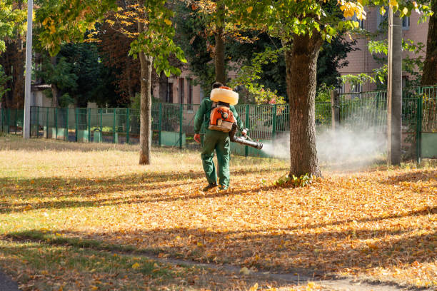 Best Local Pest Control Services  in Concordia, KS