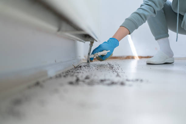 Best Affordable Exterminators  in Concordia, KS