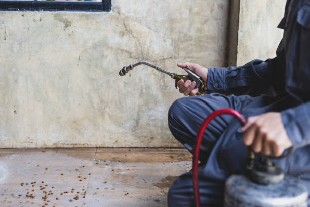 Best Pest Prevention Services  in Concordia, KS
