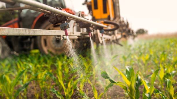 Best Mosquito Control Services  in Concordia, KS