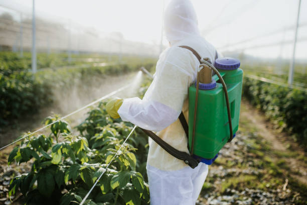 Best Mosquito Control Services  in Concordia, KS
